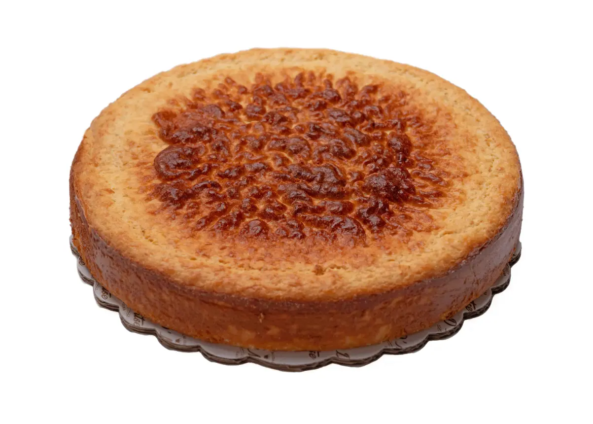 PAN DE ELOTE (1)