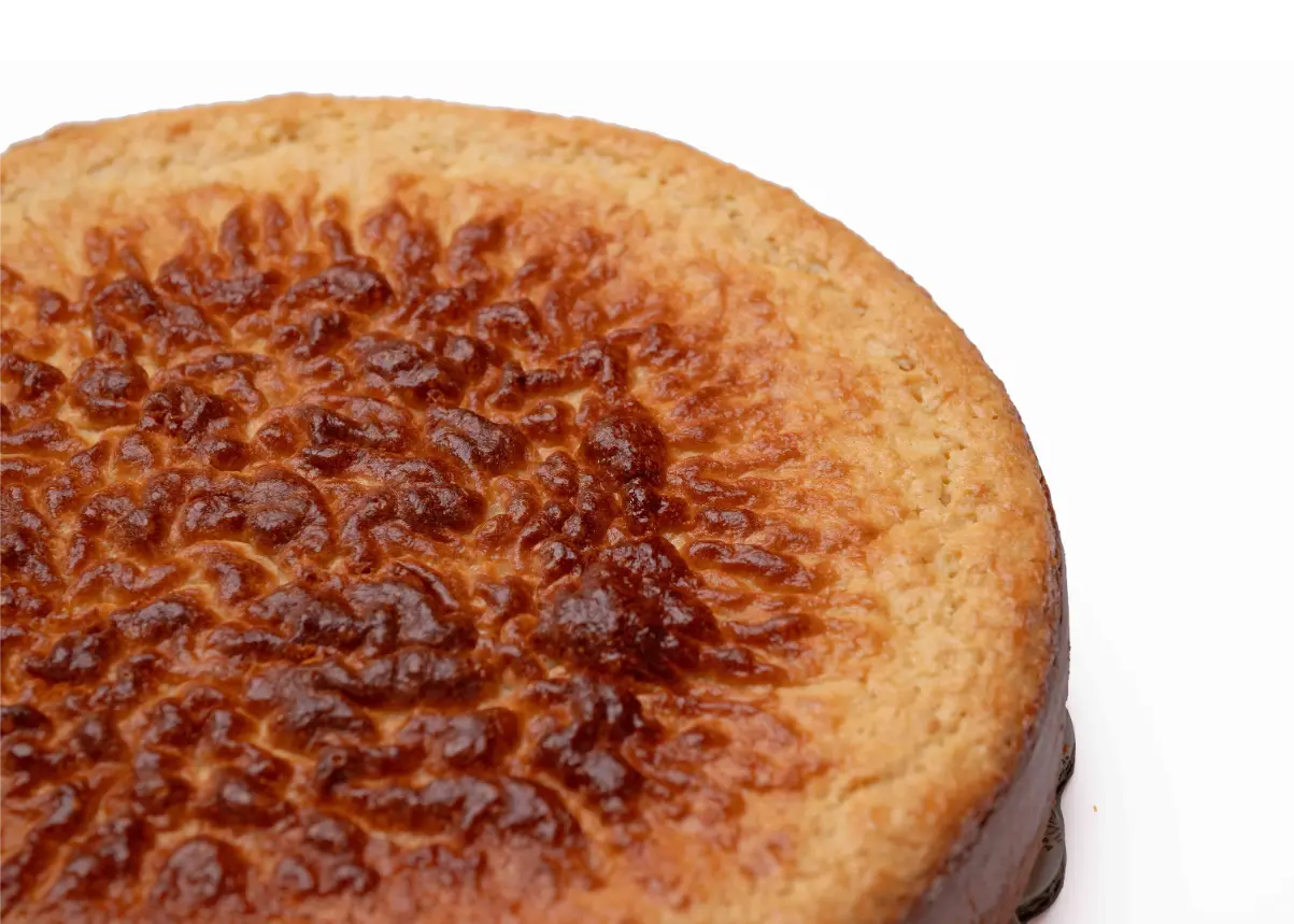 PAN DE ELOTE (2)
